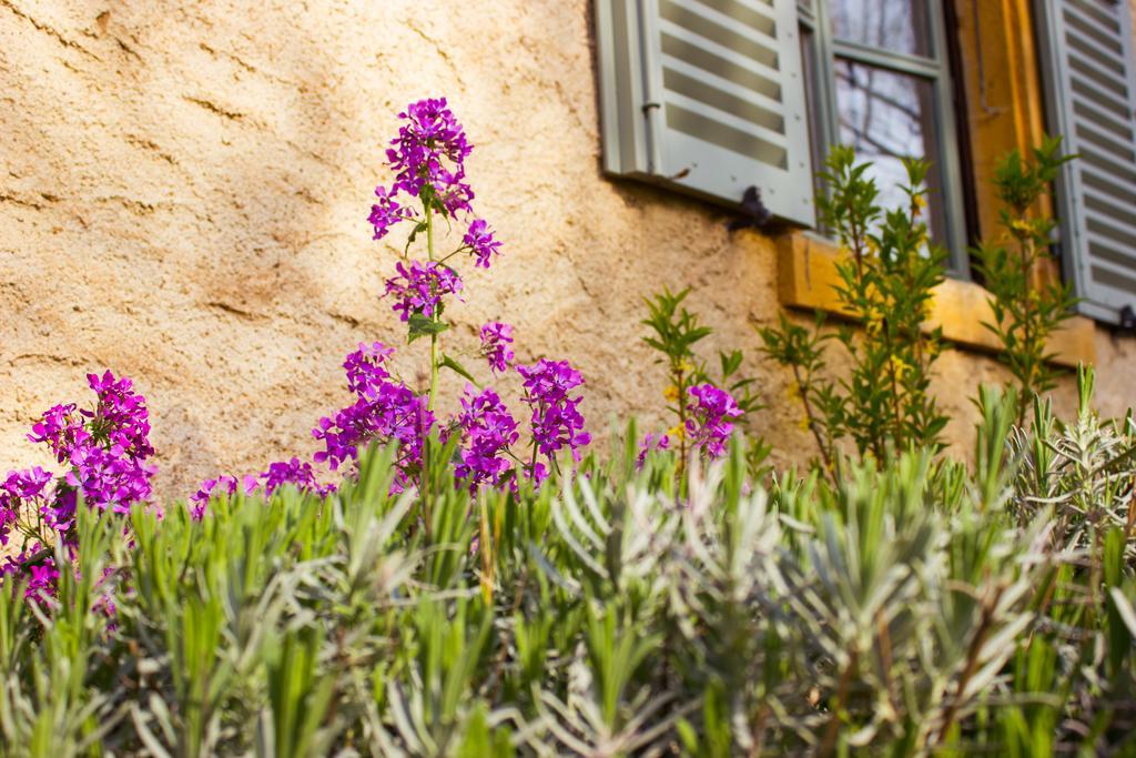 Bed and Breakfast Aux Ronzieres Pouilly-sous-Charlieu Pokoj fotografie